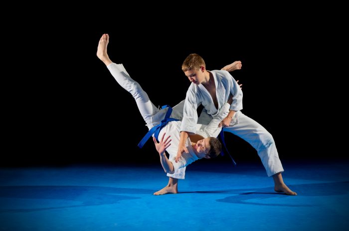 adolescents aikido projection