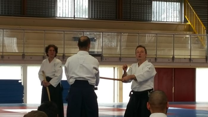 Luc Mathevet stage aïkido à Dijon