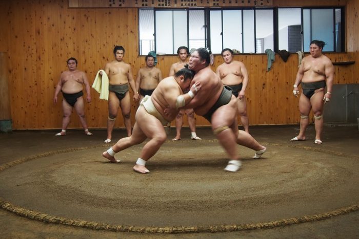 entraînement de sumo au Japon