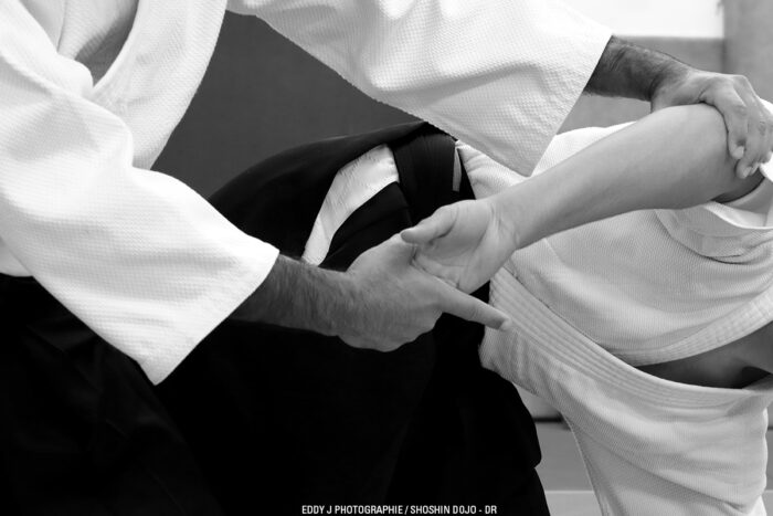 Shoshin Dojo aikido à Besançon et à Dole sankyo