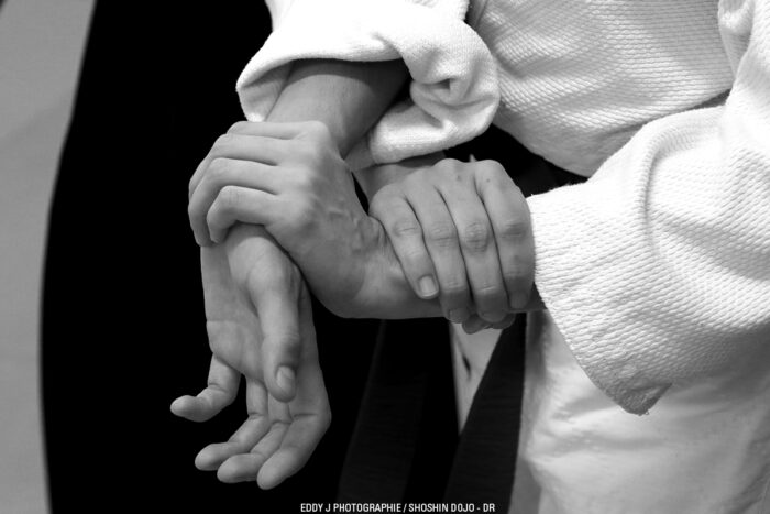 Shoshin Dojo aikido à Besançon et à Dole application shiho nage